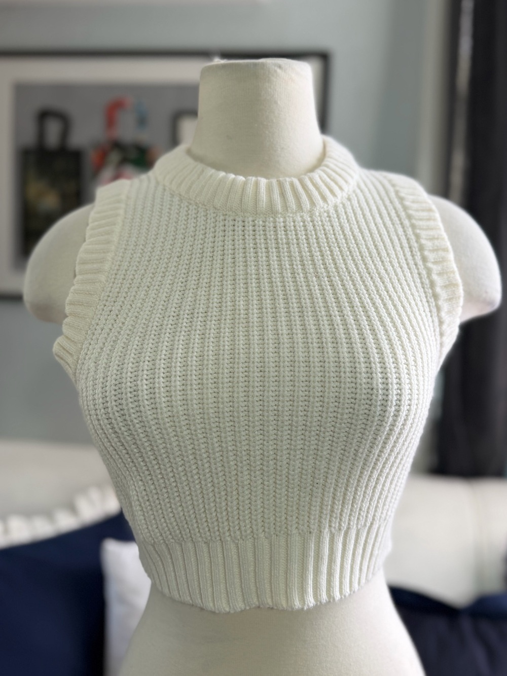 Sleeveless Ribbed Knit Crop Top - White